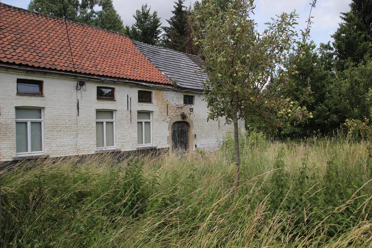 B&B Dotter 17 Erpe-Mere Esterno foto
