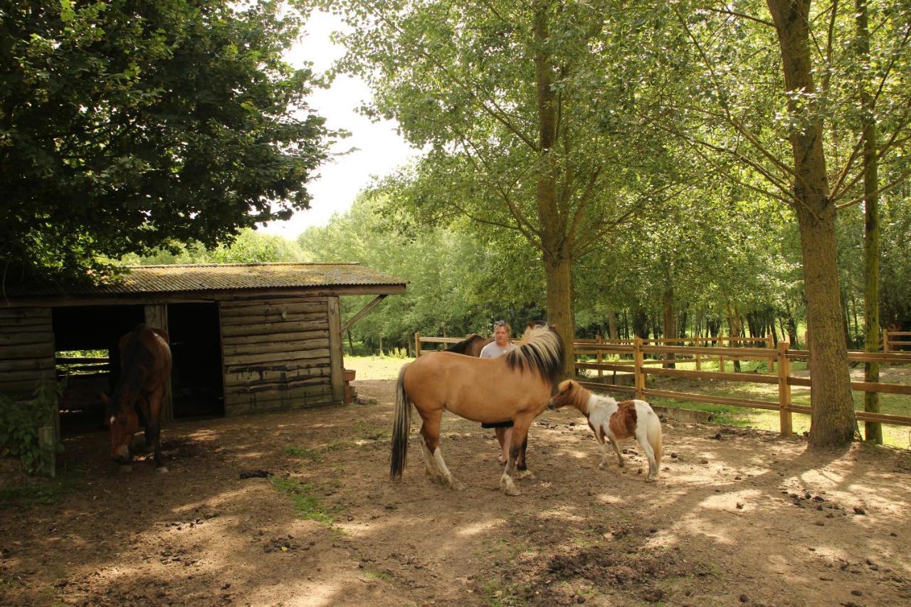 B&B Dotter 17 Erpe-Mere Esterno foto